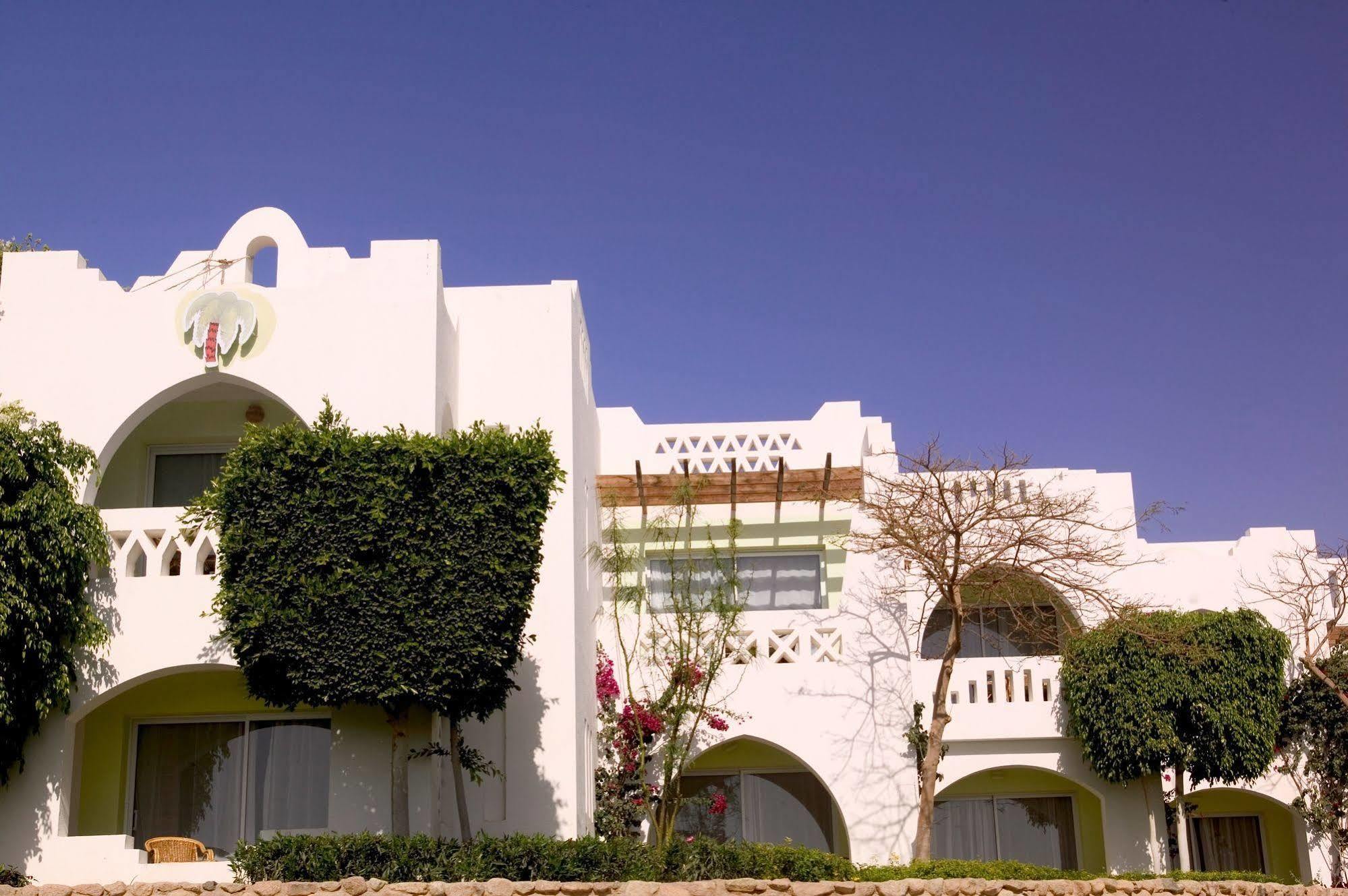 Domina Oasis Hotel & Resort Шарм-эль-Шейх Экстерьер фото